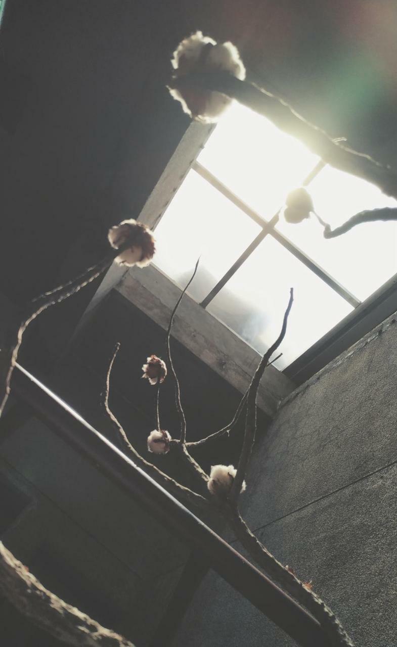 โกอิน โอลด์ เฮาส์ แอนด์ บาร์ Apartment ไถหนาน ภายนอก รูปภาพ